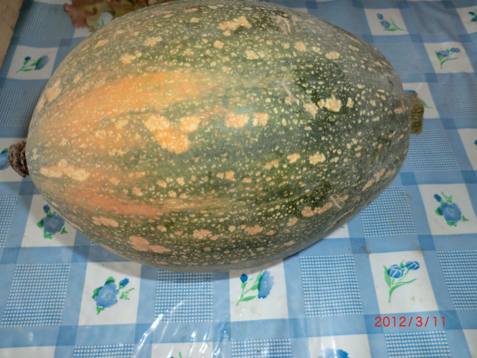 有機南瓜(800g/個)